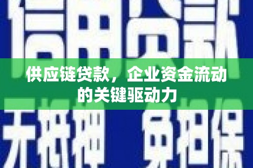 萨嘎供应链贷款，企业资金流动的关键驱动力