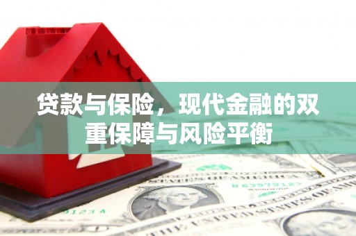 萨嘎贷款与保险，现代金融的双重保障与风险平衡