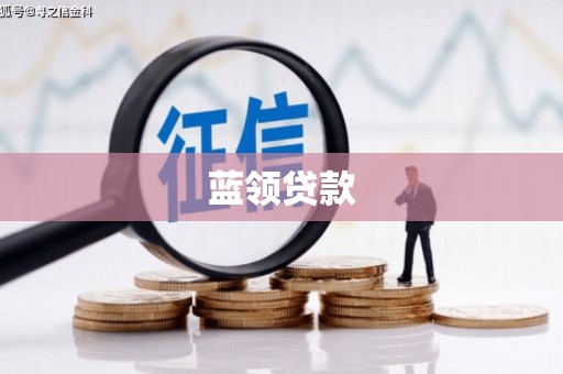 萨嘎蓝领贷款