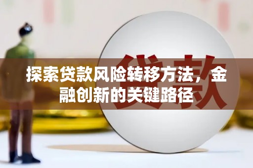萨嘎探索贷款风险转移方法，金融创新的关键路径