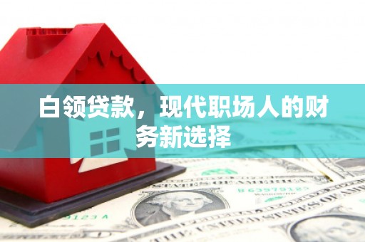 萨嘎白领贷款，现代职场人的财务新选择
