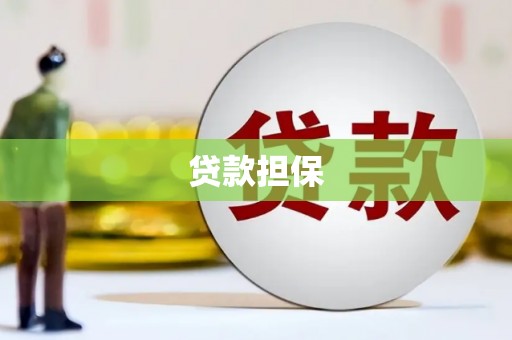 萨嘎贷款担保