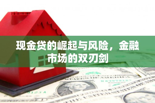 萨嘎现金贷的崛起与风险，金融市场的双刃剑