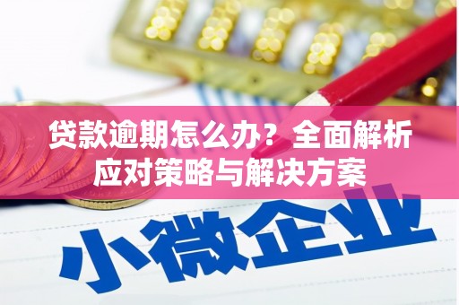 萨嘎贷款逾期怎么办？全面解析应对策略与解决方案