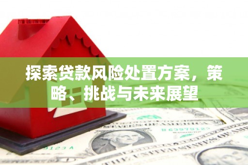 萨嘎探索贷款风险处置方案，策略、挑战与未来展望