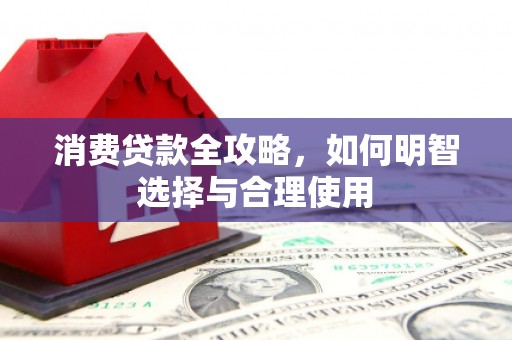 萨嘎消费贷款全攻略，如何明智选择与合理使用