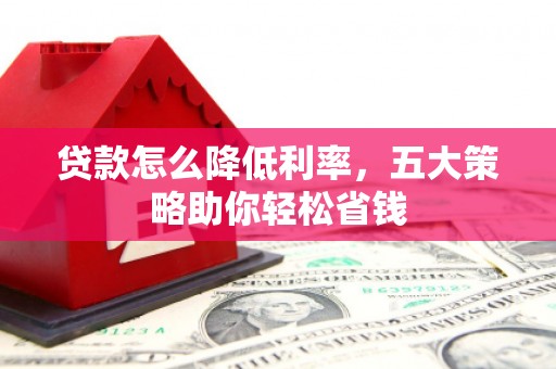 萨嘎贷款怎么降低利率，五大策略助你轻松省钱