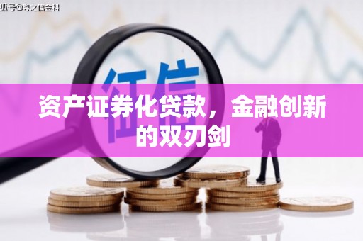 萨嘎资产证券化贷款，金融创新的双刃剑