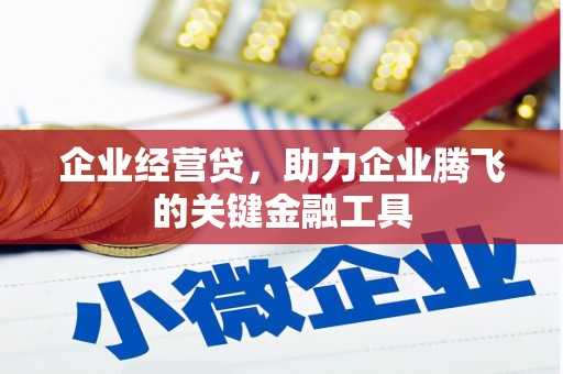 萨嘎企业经营贷，助力企业腾飞的关键金融工具