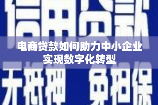 萨嘎电商贷款如何助力中小企业实现数字化转型