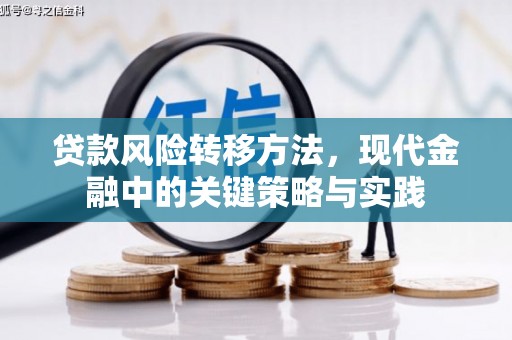 萨嘎贷款风险转移方法，现代金融中的关键策略与实践