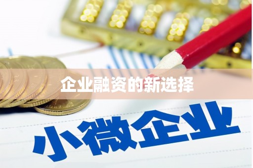 萨嘎企业融资的新选择