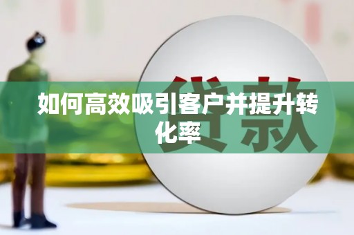萨嘎如何高效吸引客户并提升转化率