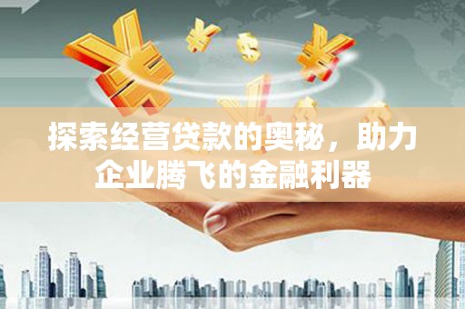 萨嘎探索经营贷款的奥秘，助力企业腾飞的金融利器