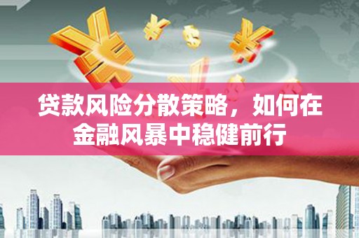 萨嘎贷款风险分散策略，如何在金融风暴中稳健前行