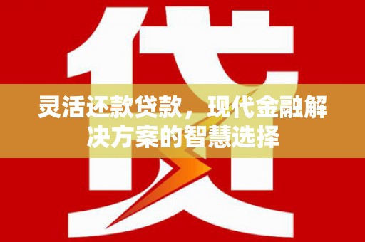 萨嘎灵活还款贷款，现代金融解决方案的智慧选择