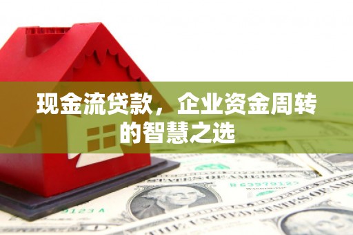 萨嘎现金流贷款，企业资金周转的智慧之选