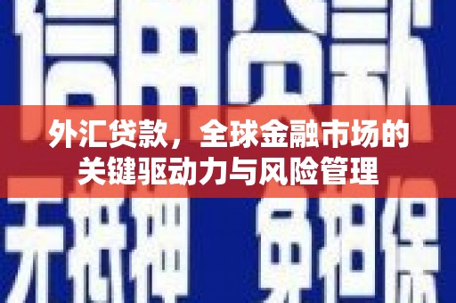 萨嘎外汇贷款，全球金融市场的关键驱动力与风险管理