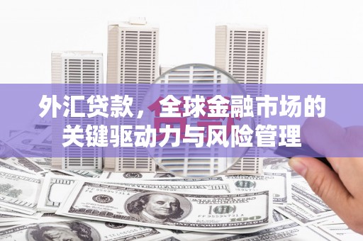 萨嘎外汇贷款，全球金融市场的关键驱动力与风险管理