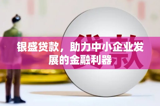 萨嘎银盛贷款，助力中小企业发展的金融利器