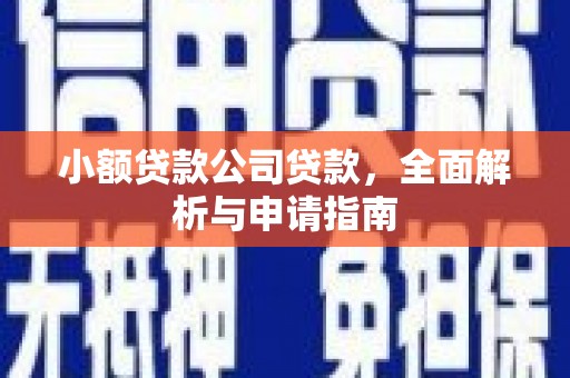 萨嘎小额贷款公司贷款，全面解析与申请指南