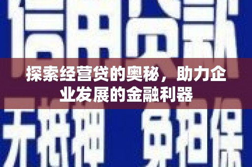 萨嘎探索经营贷的奥秘，助力企业发展的金融利器