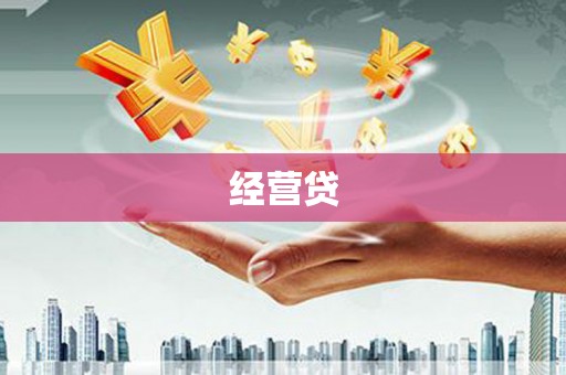 萨嘎经营贷