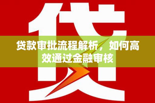 萨嘎贷款审批流程解析，如何高效通过金融审核