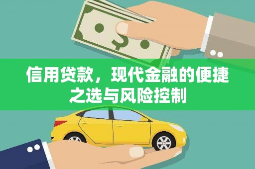 萨嘎信用贷款，现代金融的便捷之选与风险控制