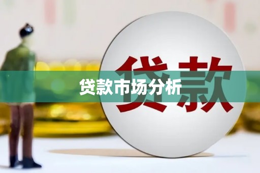 萨嘎贷款市场分析
