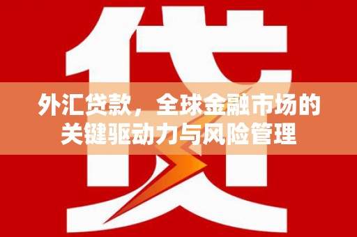 萨嘎外汇贷款，全球金融市场的关键驱动力与风险管理