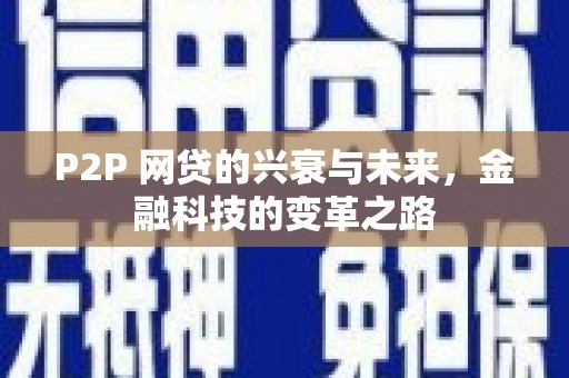 萨嘎P2P 网贷的兴衰与未来，金融科技的变革之路