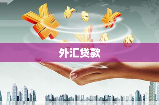 萨嘎外汇贷款