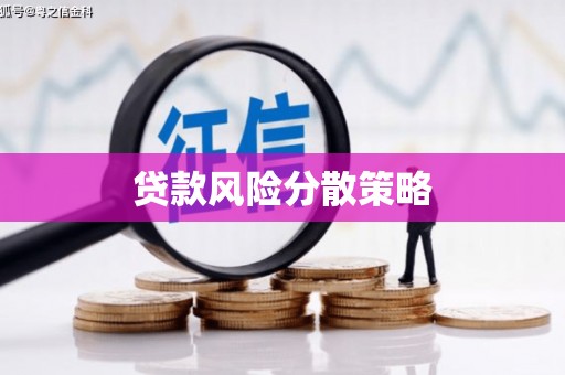 萨嘎贷款风险分散策略