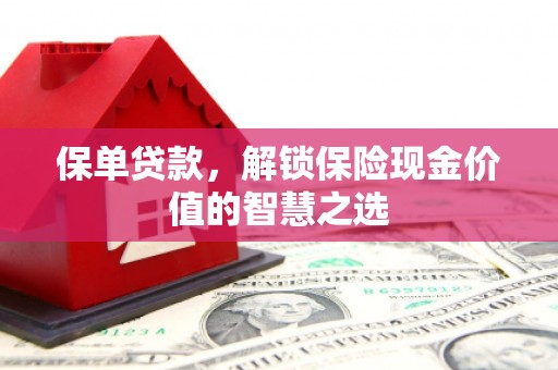 萨嘎保单贷款，解锁保险现金价值的智慧之选