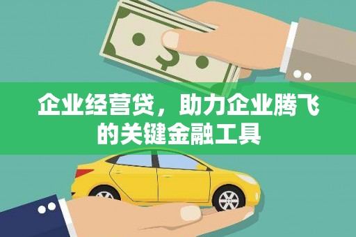 萨嘎企业经营贷，助力企业腾飞的关键金融工具