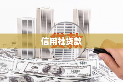 萨嘎信用社贷款