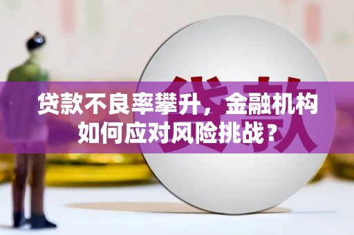 萨嘎贷款不良率攀升，金融机构如何应对风险挑战？