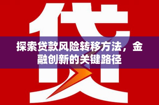 萨嘎探索贷款风险转移方法，金融创新的关键路径