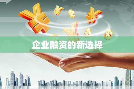 萨嘎企业融资的新选择