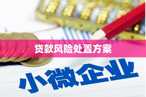 萨嘎贷款风险处置方案