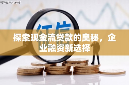 萨嘎探索现金流贷款的奥秘，企业融资新选择