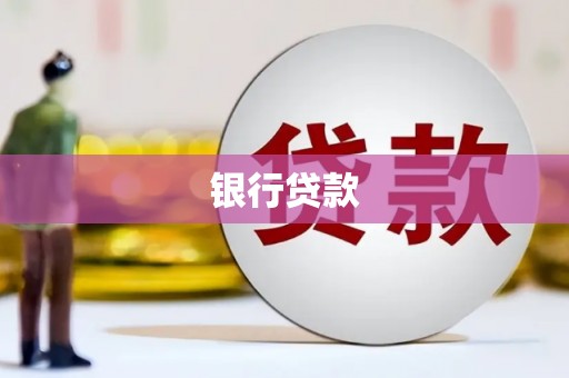 萨嘎银行贷款