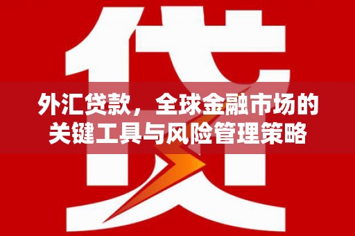 萨嘎外汇贷款，全球金融市场的关键工具与风险管理策略