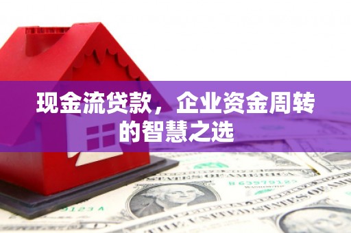 萨嘎现金流贷款，企业资金周转的智慧之选