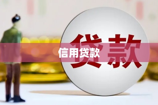 萨嘎信用贷款