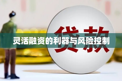 萨嘎灵活融资的利器与风险控制