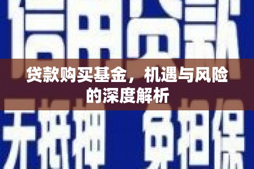 萨嘎贷款购买基金，机遇与风险的深度解析