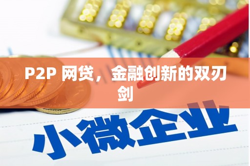 萨嘎P2P 网贷，金融创新的双刃剑