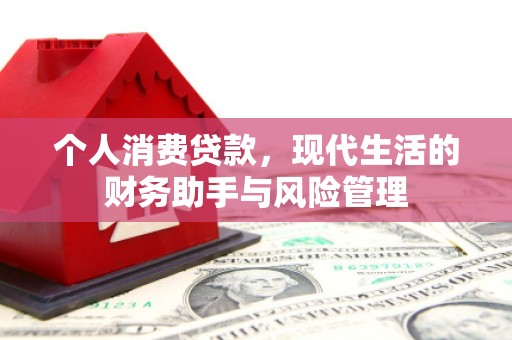萨嘎个人消费贷款，现代生活的财务助手与风险管理